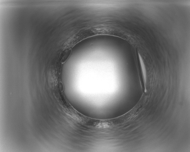 X0000053160751200507251908