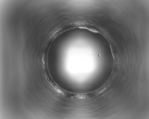 X0000053160762200507251908