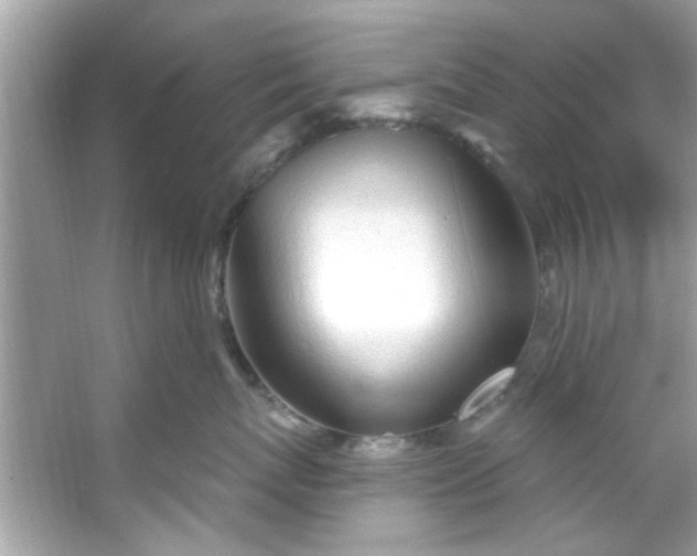 X0000053160767200507251908