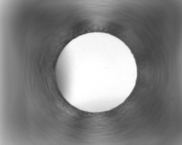 X0000053160769200507251907
