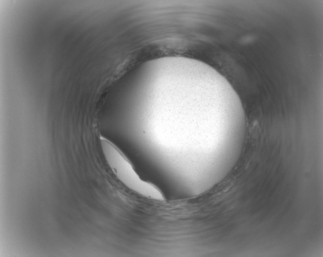 X0000053160772200507251907