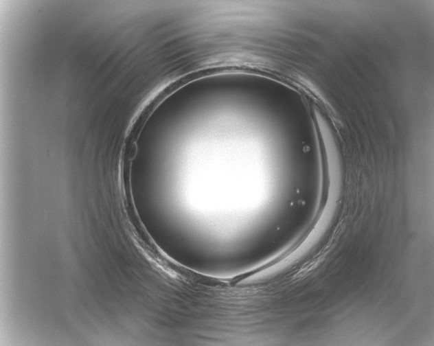 X0000053160788200507251907