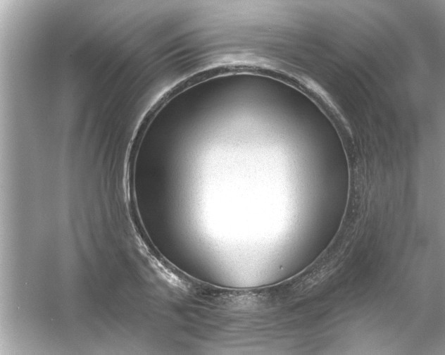 X0000053160791200507251907