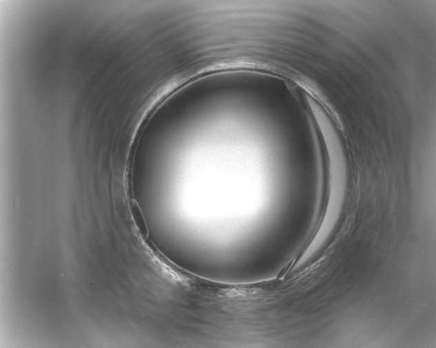 X0000053160805200507251907