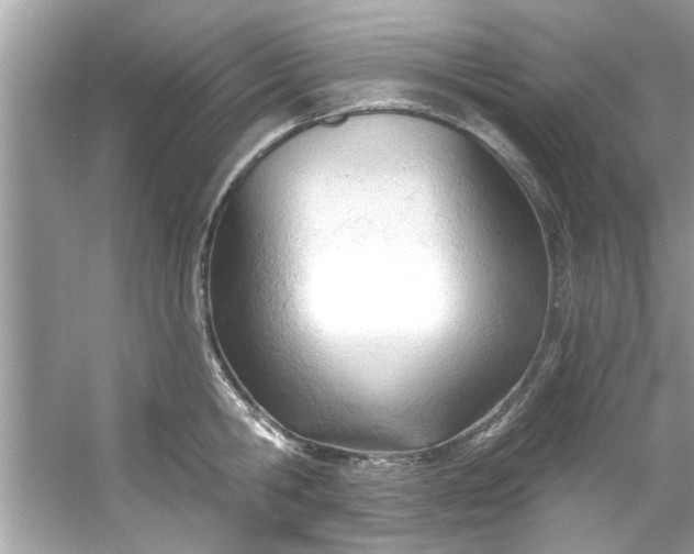 X0000053160806200507251907