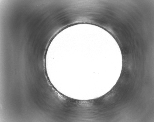 X0000053160807200507251907