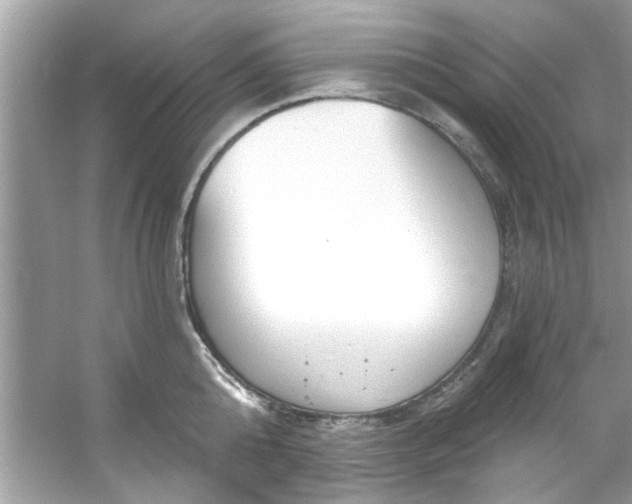 X0000053160808200507251907