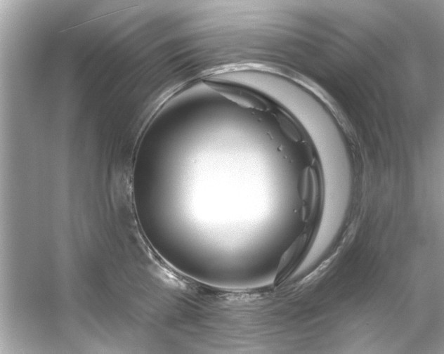 X0000053160809200507251907