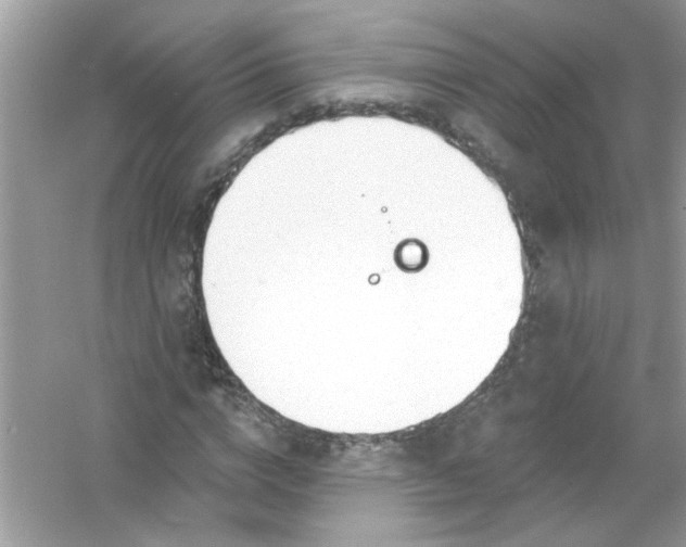 X0000053160824200507251906