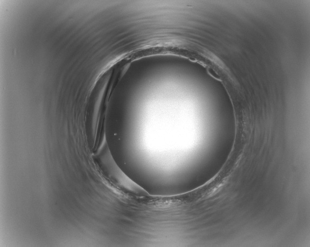 X0000053160826200507251906