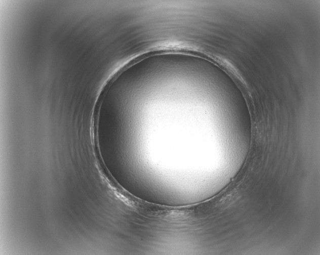 X0000053160839200507251906