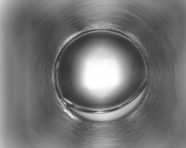 X0000053160846200507251906