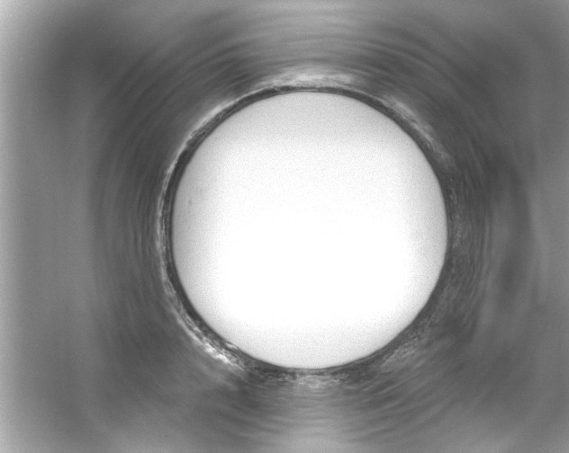 X0000053160848200507251906