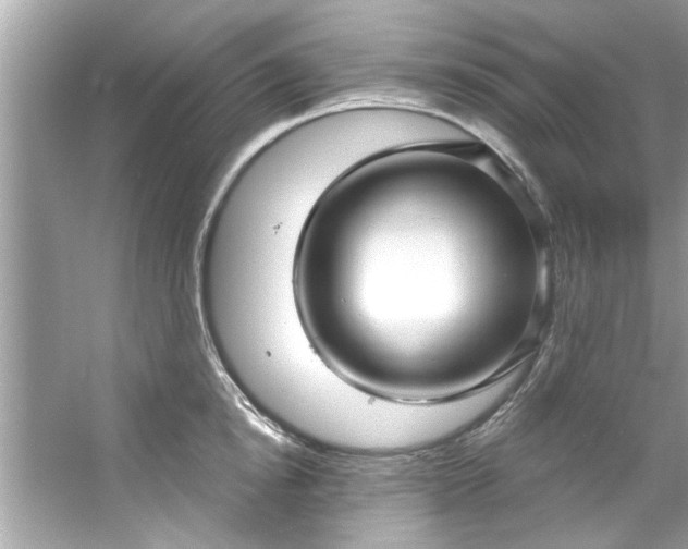 X0000053160854200507251906