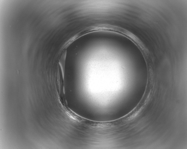 X0000053160857200507251906