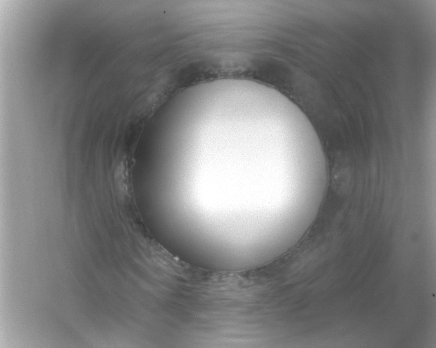 X0000053160866200507251906