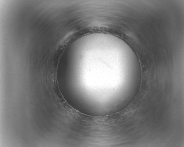 X0000053160870200507251906