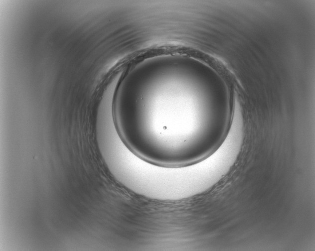 X0000053160871200507251906