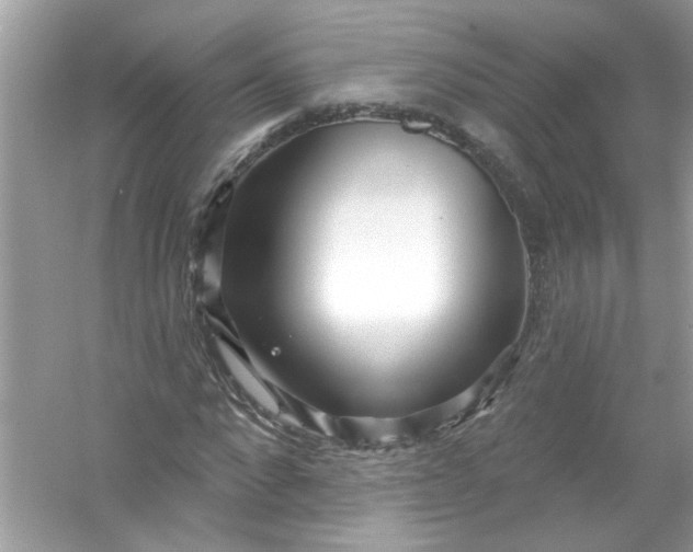 X0000053160872200507251906