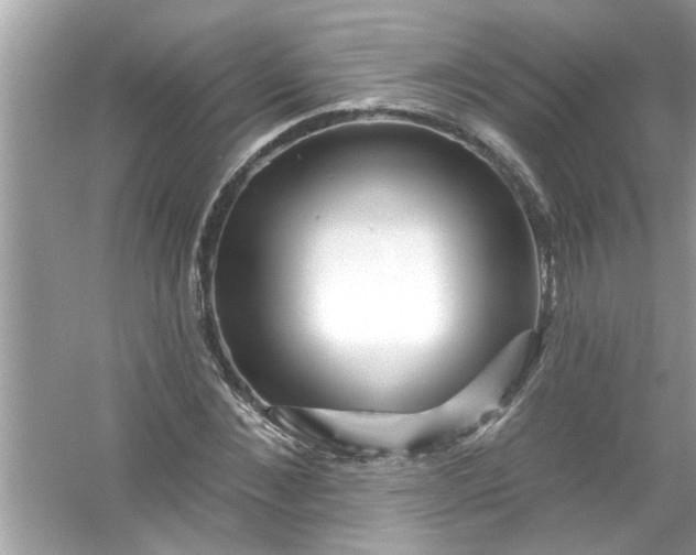 X0000053160876200507251906