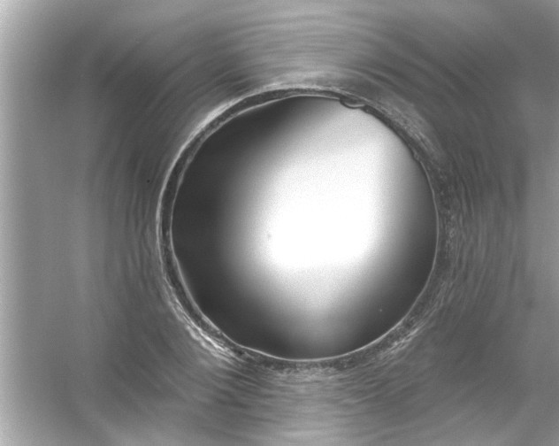 X0000053160884200507251905