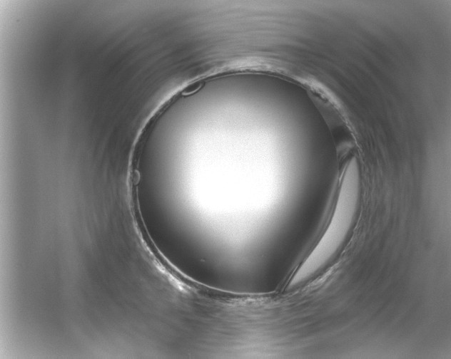 X0000053160902200507251905