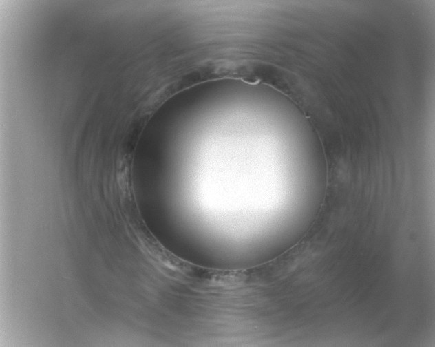 X0000053160914200507251904
