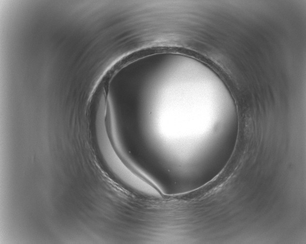 X0000053160926200507251904