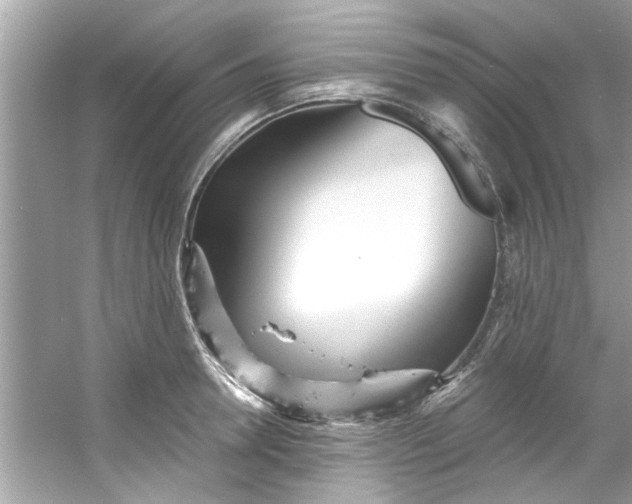 X0000053160946200507251905
