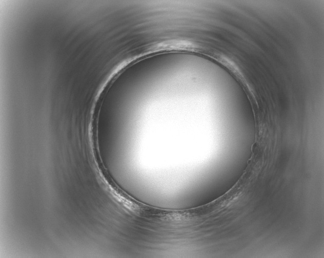 X0000053160947200507251905