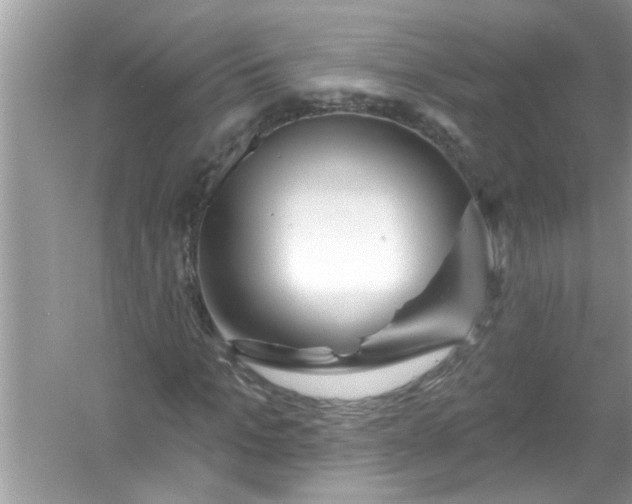 X0000053160965200507251904