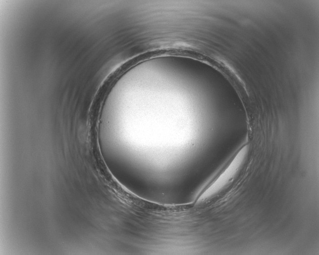 X0000053160975200507251904