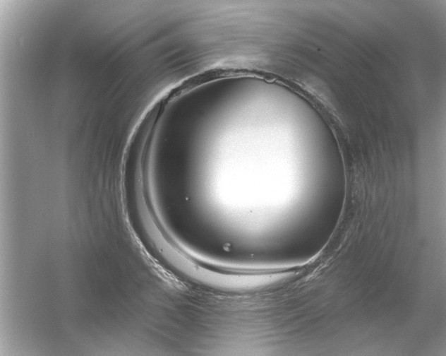 X0000053160976200507251904