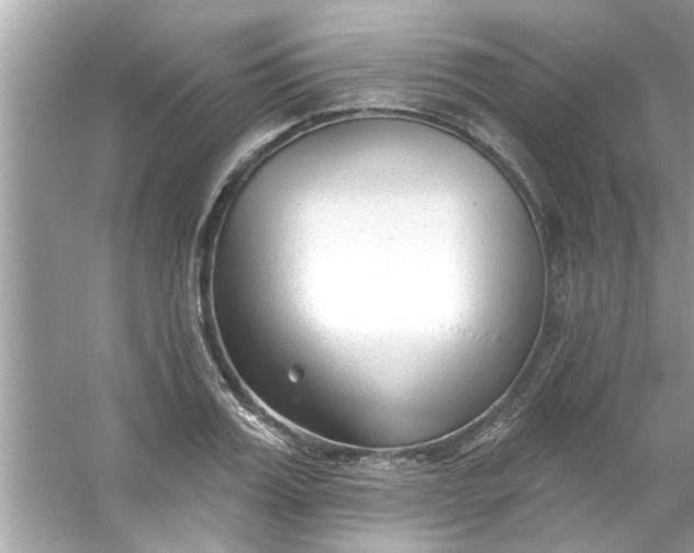 X0000053160987200507251904