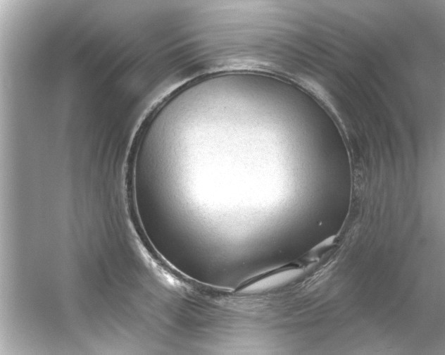 X0000053160995200507251904