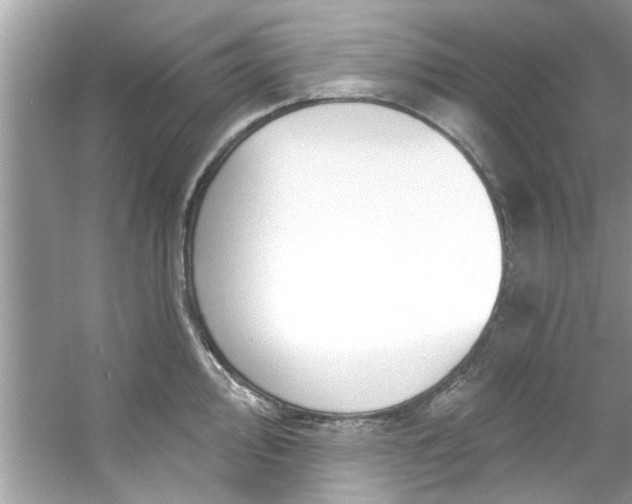 X0000053161000200507251903