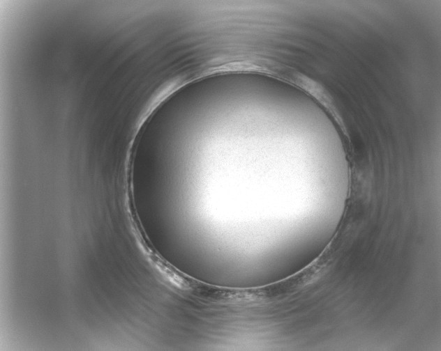 X0000053161002200507251903