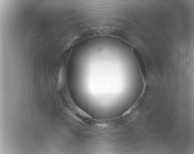 X0000053161010200507251903