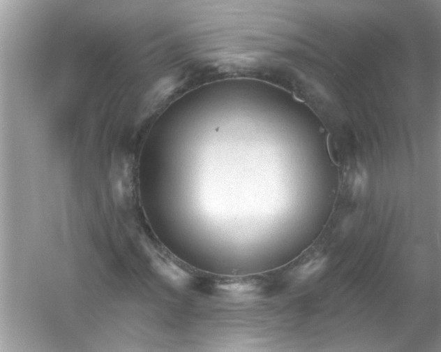 X0000053161012200507251903