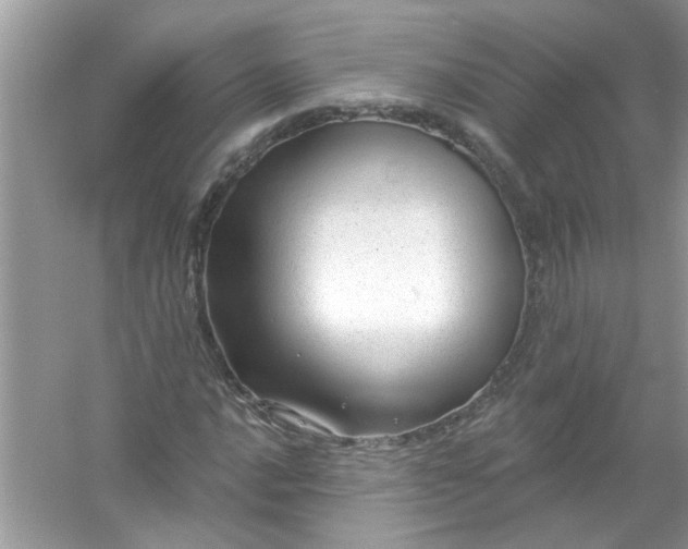 X0000053161016200507251903