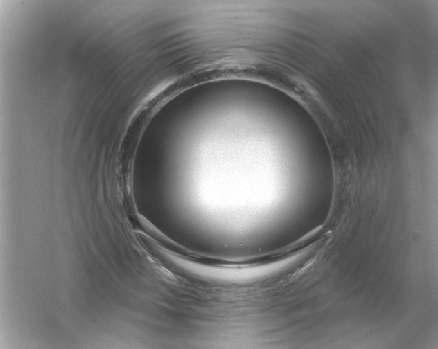 X0000053161018200507251903