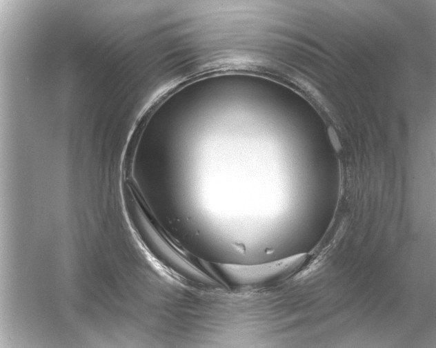 X0000053161034200507251903