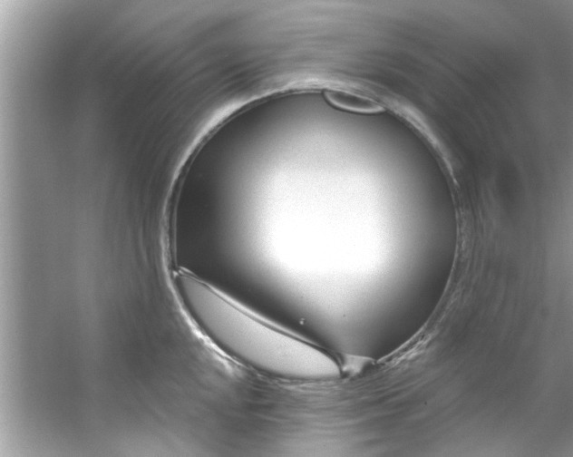 X0000053161048200507251903