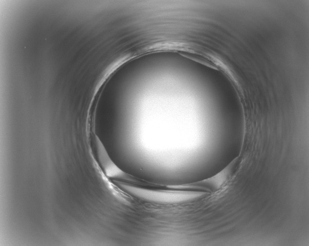 X0000053161050200507251903