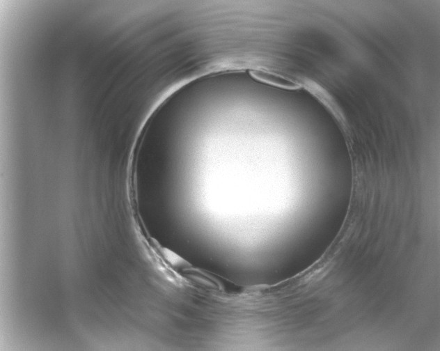 X0000053161052200507251903
