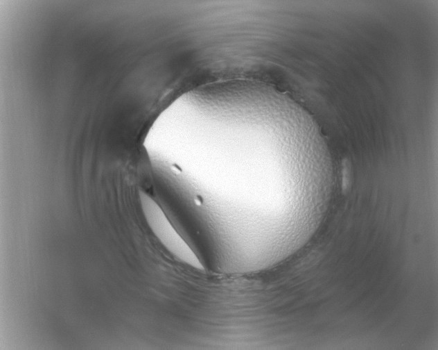 X0000053161059200507251902