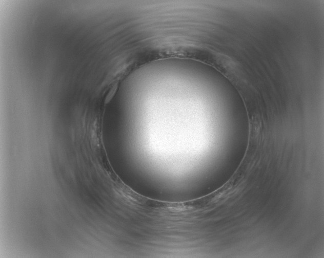 X0000053161060200507251902