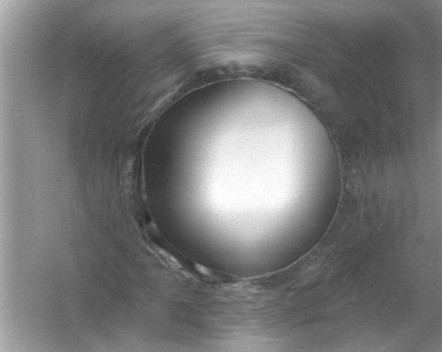X0000053161061200507251902