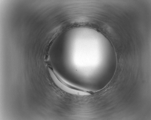 X0000053161062200507251902
