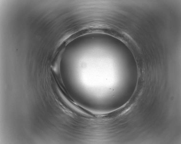 X0000053161065200507251902